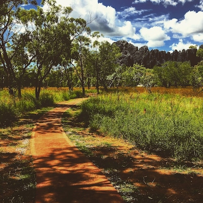 This is an old one, from 2016. But the experience of walking through the Chillagoe Caves and seeing the beauty of country surrounding was worth the 4-5hour drive. Very relaxing, peaceful and so natural. Worth a trip if ever in NQ.
