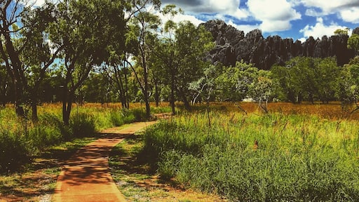This is an old one, from 2016. But the experience of walking through the Chillagoe Caves and seeing the beauty of country surrounding was worth the 4-5hour drive. Very relaxing, peaceful and so natural. Worth a trip if ever in NQ.