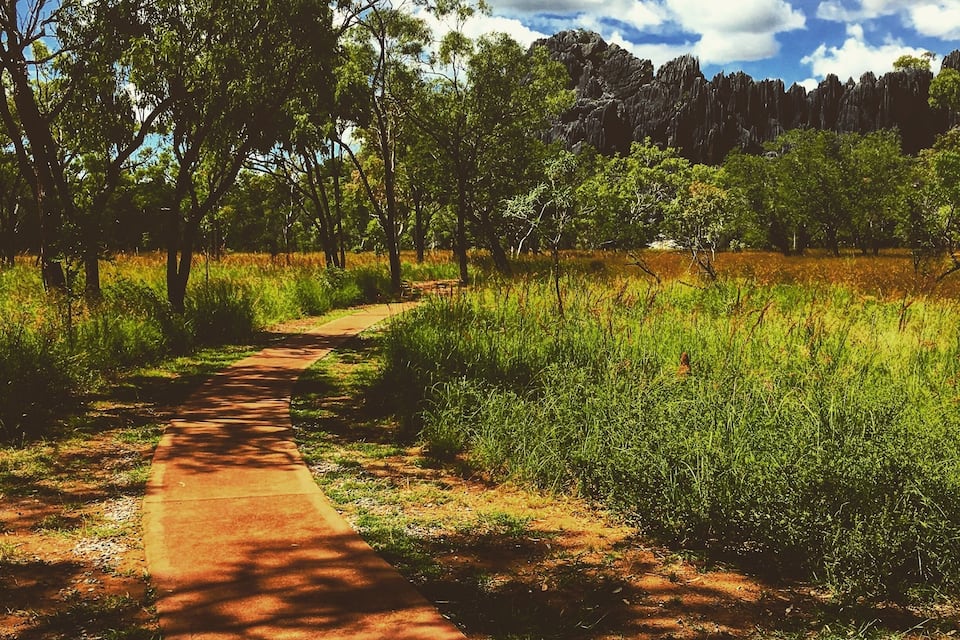 A dirt path through a grassy area with trees and rocky cliffs in the background.