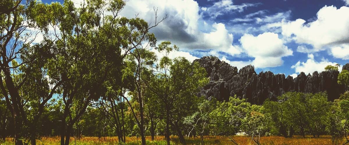 A dirt path through a grassy area with trees and rocky cliffs in the background.