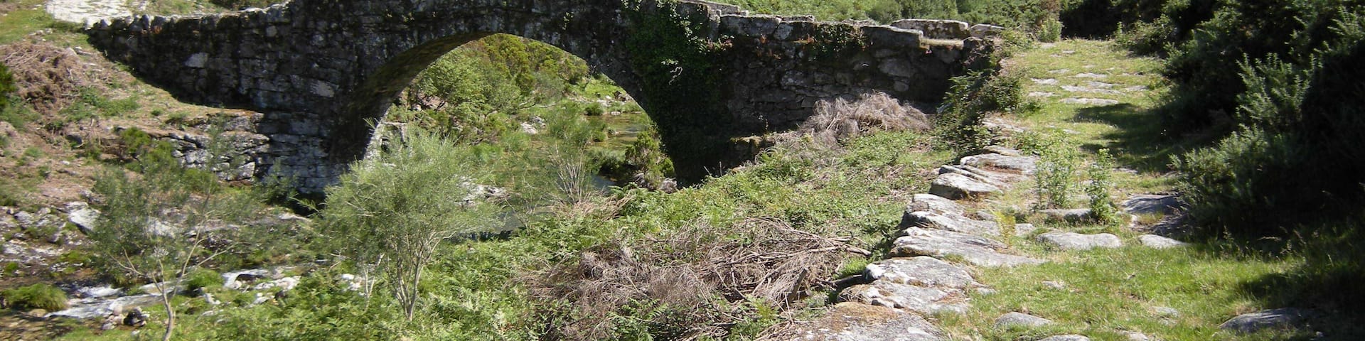 Ponte de Liñares. A Lama
