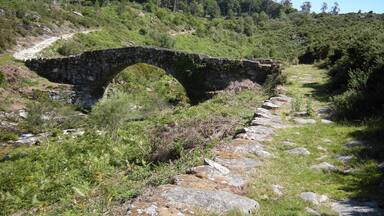 A stone bridge over a stream in a forested area.
