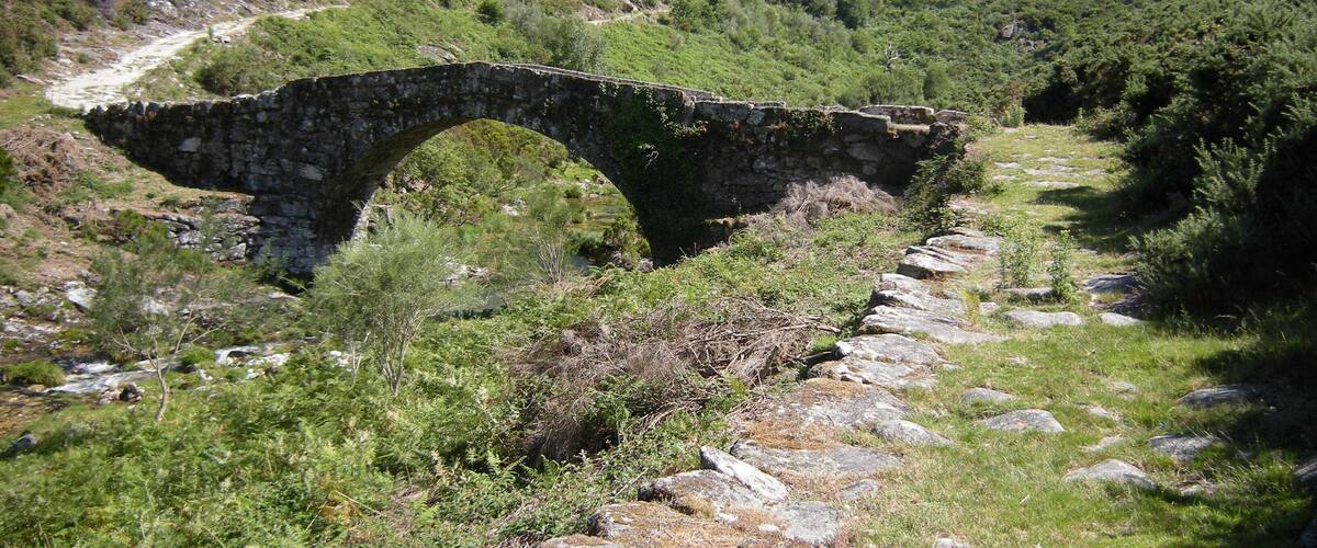 A stone bridge over a stream in a forested area.