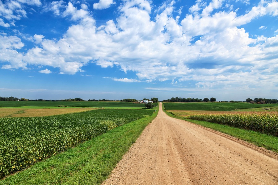 Dirt county road through soybean and corn crops, Richmond, Minnesota, United States of America
