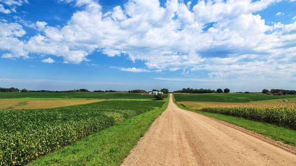 A rural dirt road flanked by green fields and a blue sky with clouds.