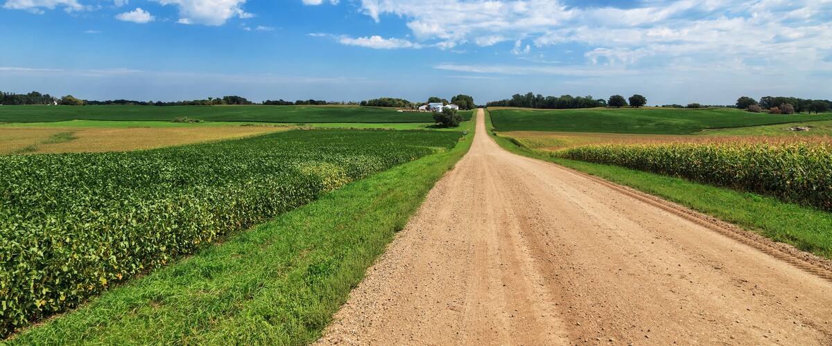 A rural dirt road flanked by green fields and a blue sky with clouds.