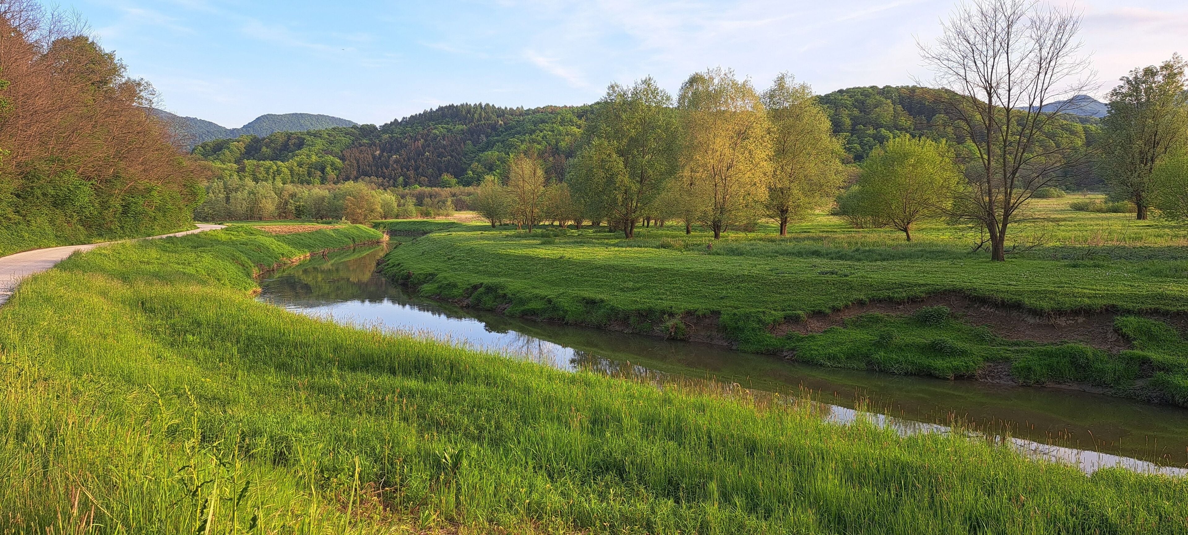 Landscape view of the narrow river flowing over the green field with lush trees