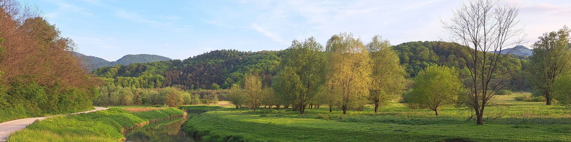 Landscape view of the narrow river flowing over the green field with lush trees