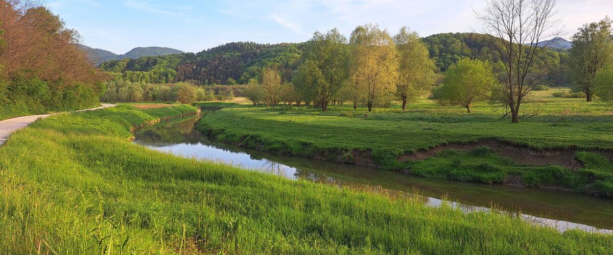 A river meandering through a lush green landscape with trees and hills in the background.