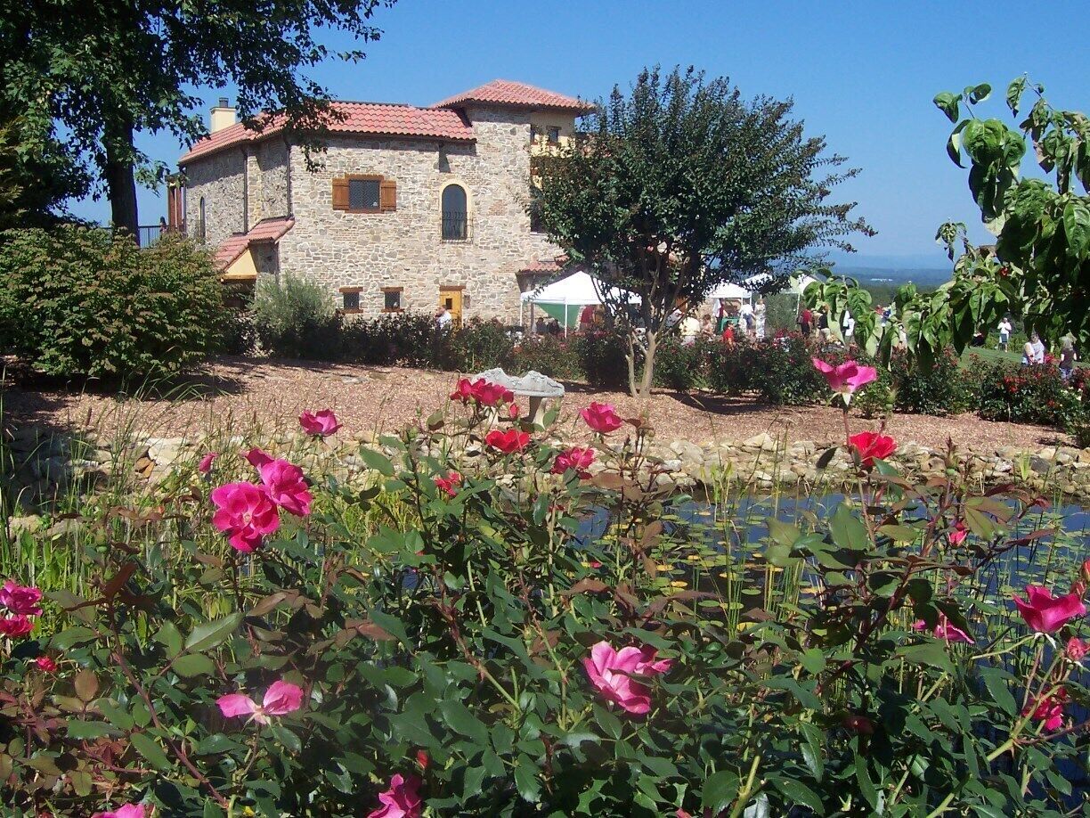 Tuscany? Wrong. Just one of the examples of the burgeoning wine industry in the Yadkin Valley of NC.
