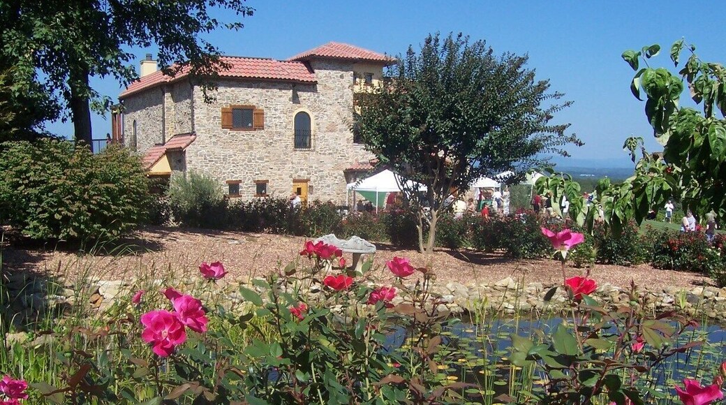 Tuscany? Wrong. Just one of the examples of the burgeoning wine industry in the Yadkin Valley of NC.