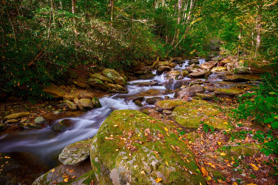 Curtis Creek near Curtis Creek Campground in the mountians of North Carolina.