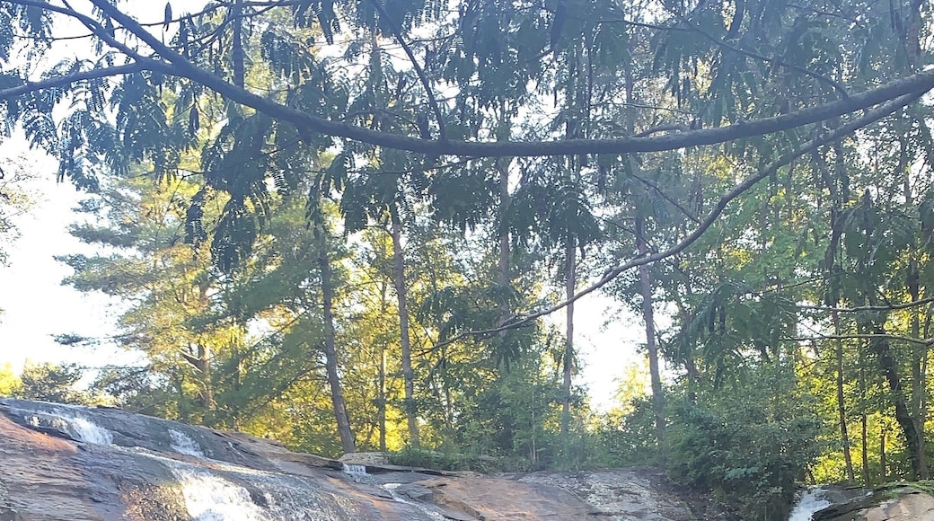 Nice little waterfalls tucked away in a little park