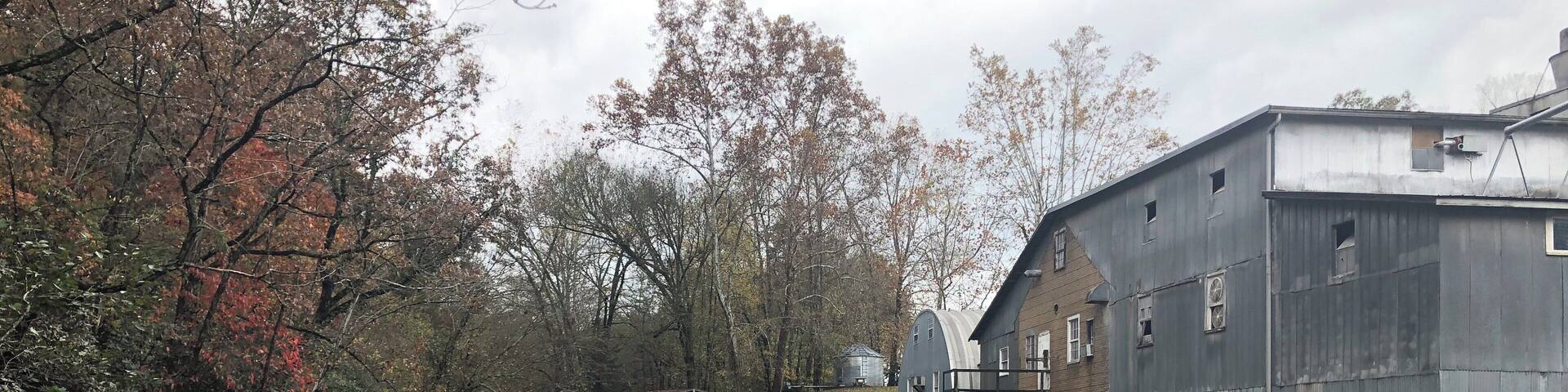 Taken from the wooden suspension bridge that goes over the water. The shop has a lot of cool stuff. Jellies, honey, and baking mixes (some ground right here at the mill). The store only accepts checks or cash! No credit cards!!!! Definitely worth a stop if you are in the area.