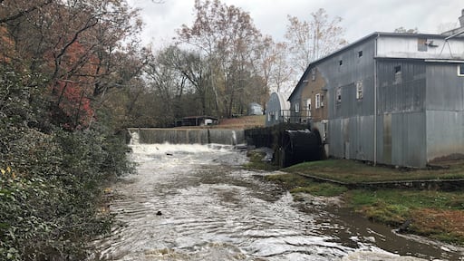 Taken from the wooden suspension bridge that goes over the water. The shop has a lot of cool stuff. Jellies, honey, and baking mixes (some ground right here at the mill). The store only accepts checks or cash! No credit cards!!!! Definitely worth a stop if you are in the area.