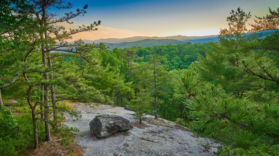 A mountainous landscape with dense pine forests and a rocky outcrop.