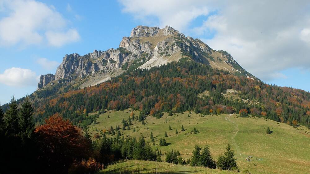 A mountain with rocky peaks and a forested slope.