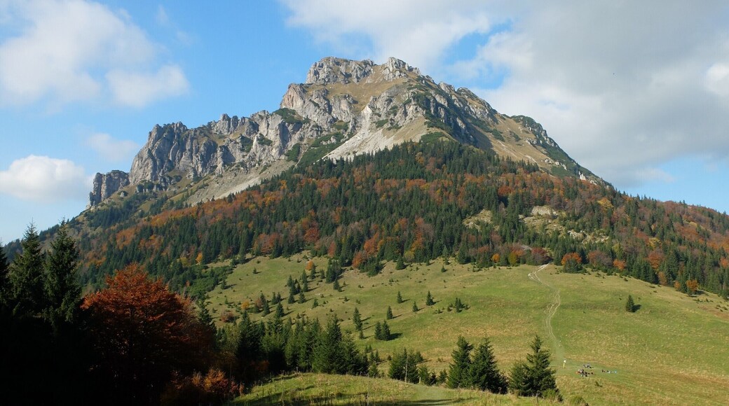 VeÄŸkĂœ Rozsutec