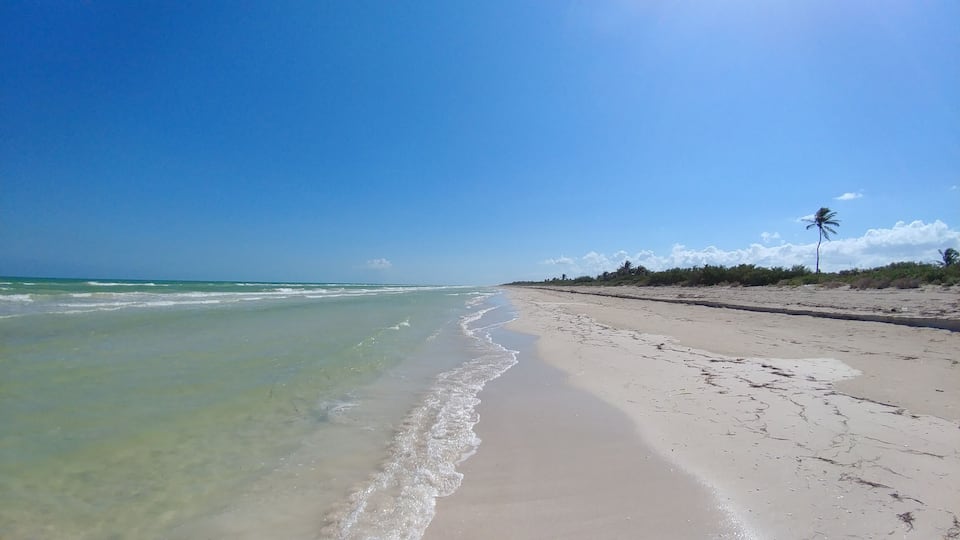 A beach with clear turquoise water, a sandy shore, and sparse vegetation.