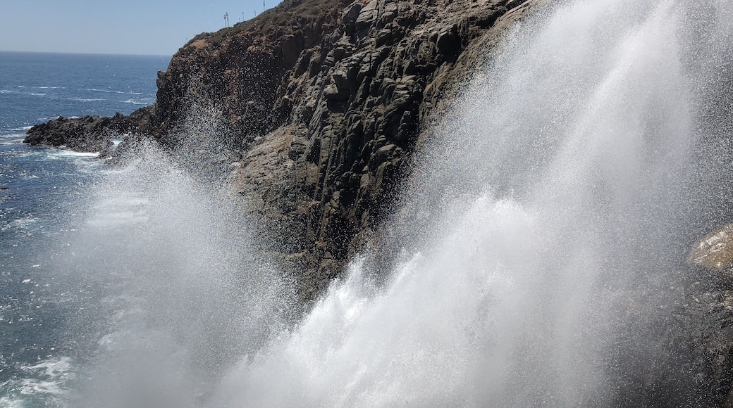 La Bufadora is an amazing natural blowhole about 45 minutes outside Ensenada, MX