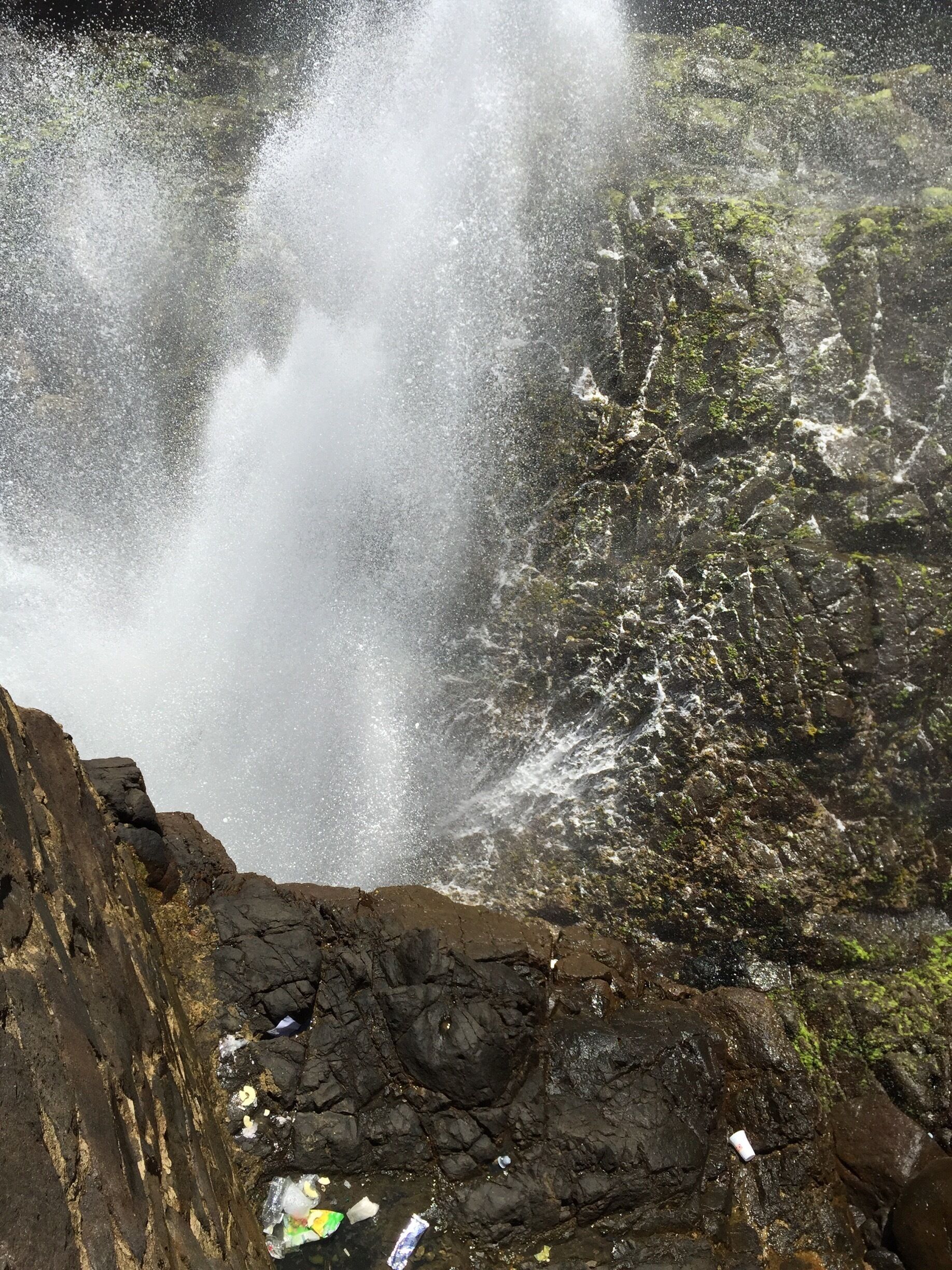 Something to see in Baja 