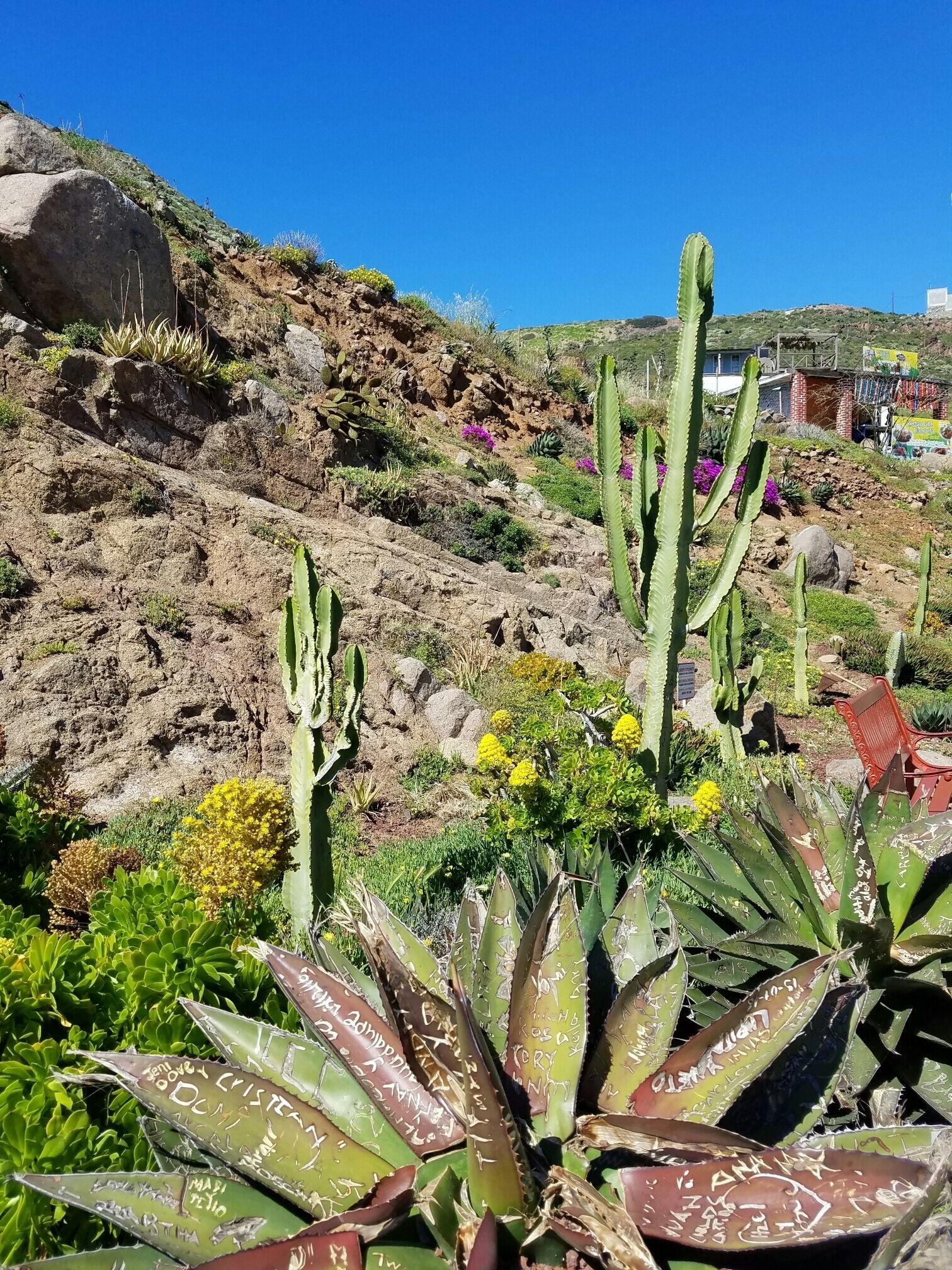 Beautiful Mexico :) #green 