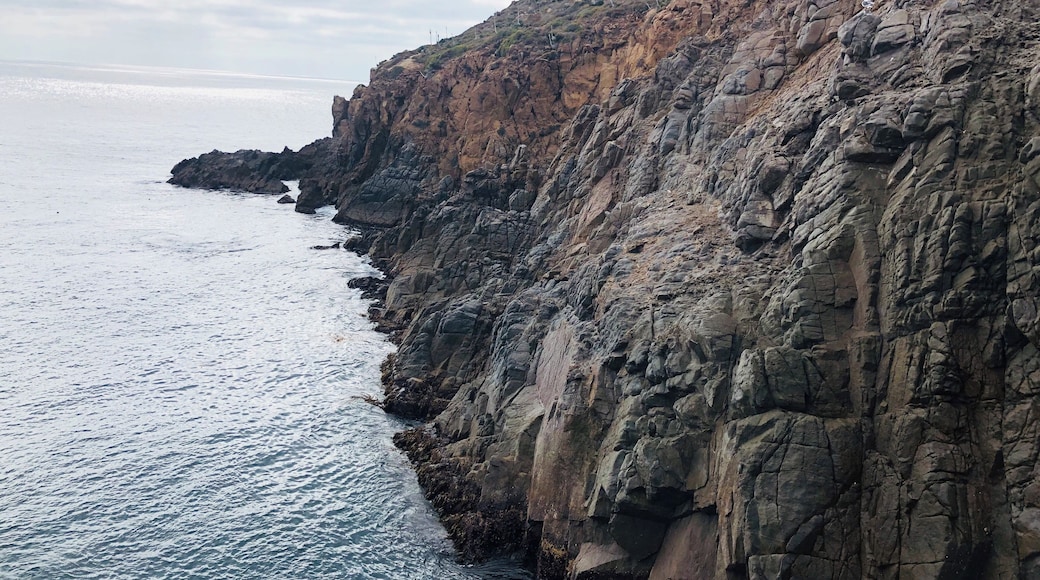 Blowhole in Ensenada