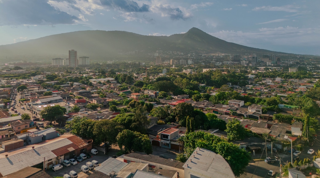 安蒂果库斯卡特兰