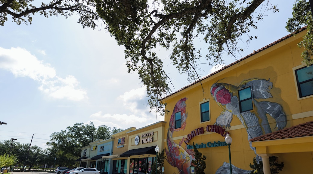 EyeEm Custom Shoots Q4 2018