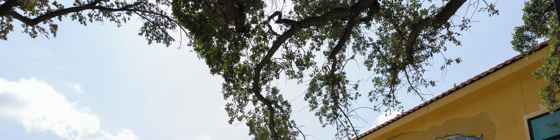 EyeEm Custom Shoots Q4 2018