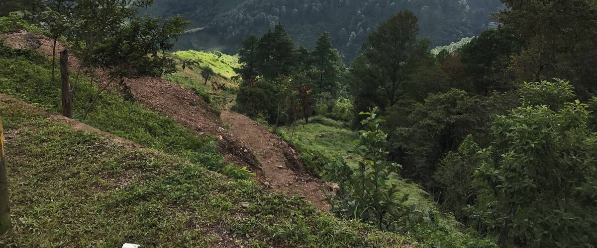 A lush green valley with a dirt path, surrounded by dense forests and mist-covered hills.