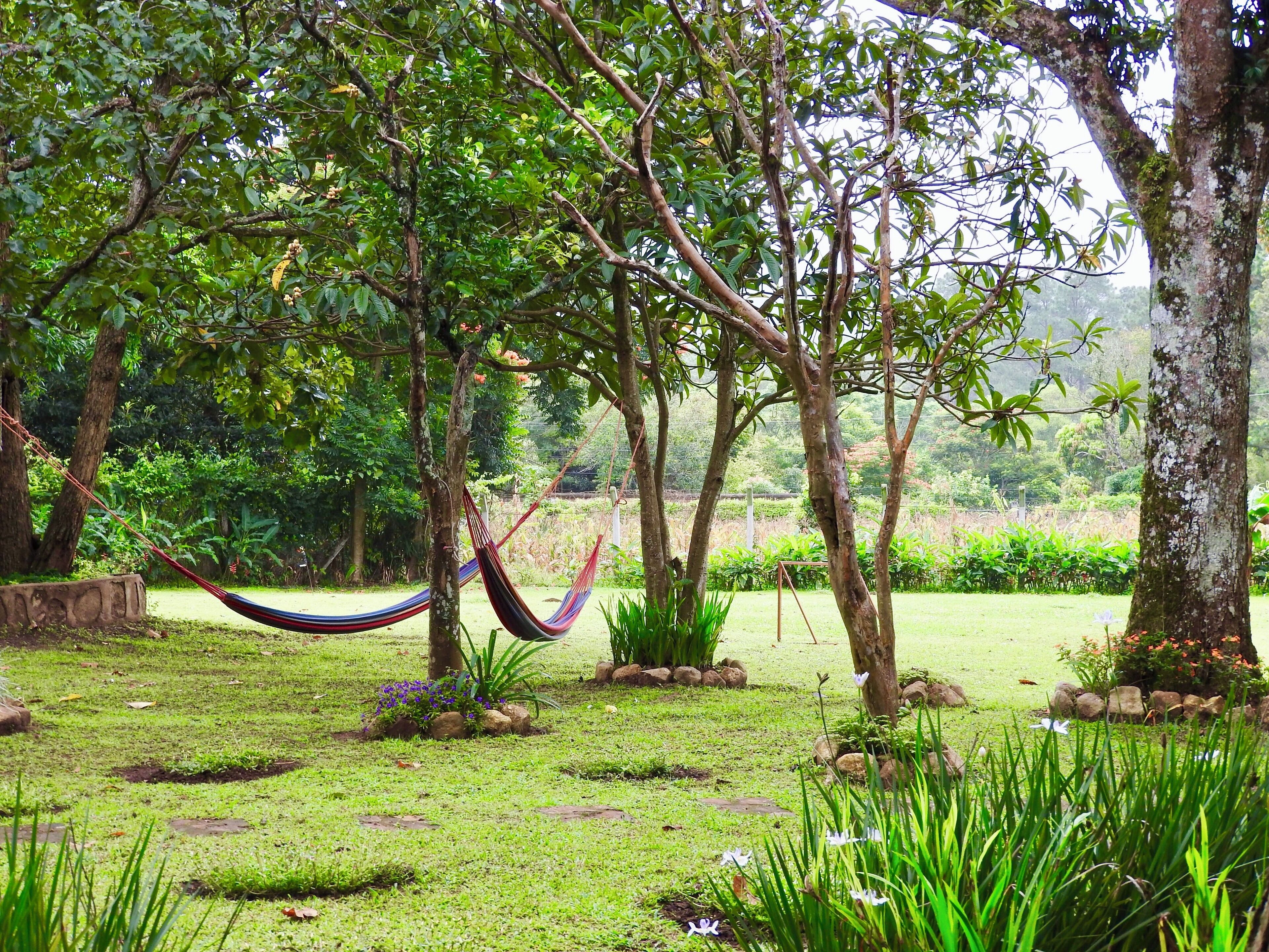 Perfect spot to relax and take it all in! #nature