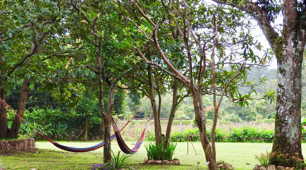 Perfect spot to relax and take it all in! #nature