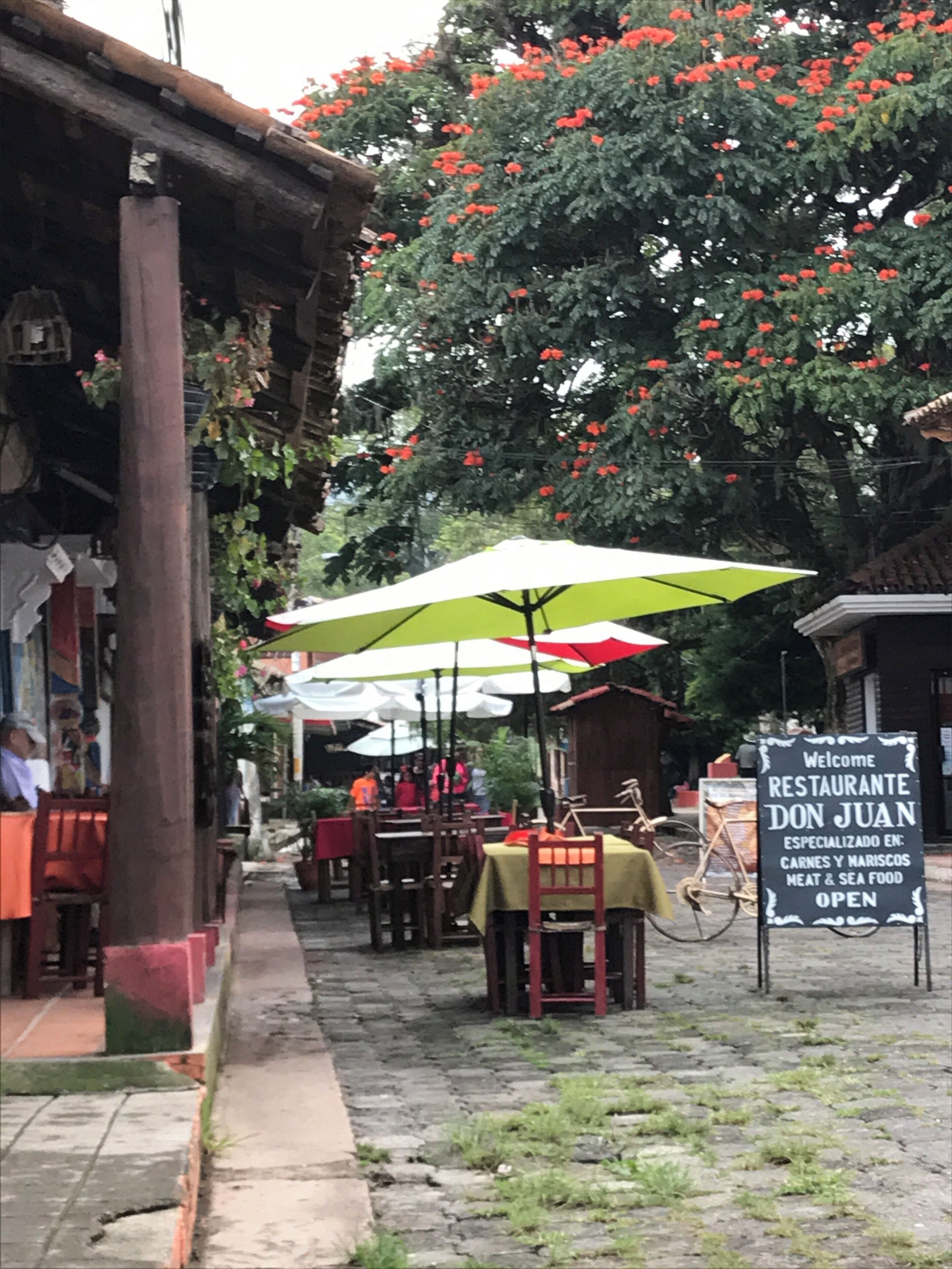 Amazing outdoor Square with vendors and street food