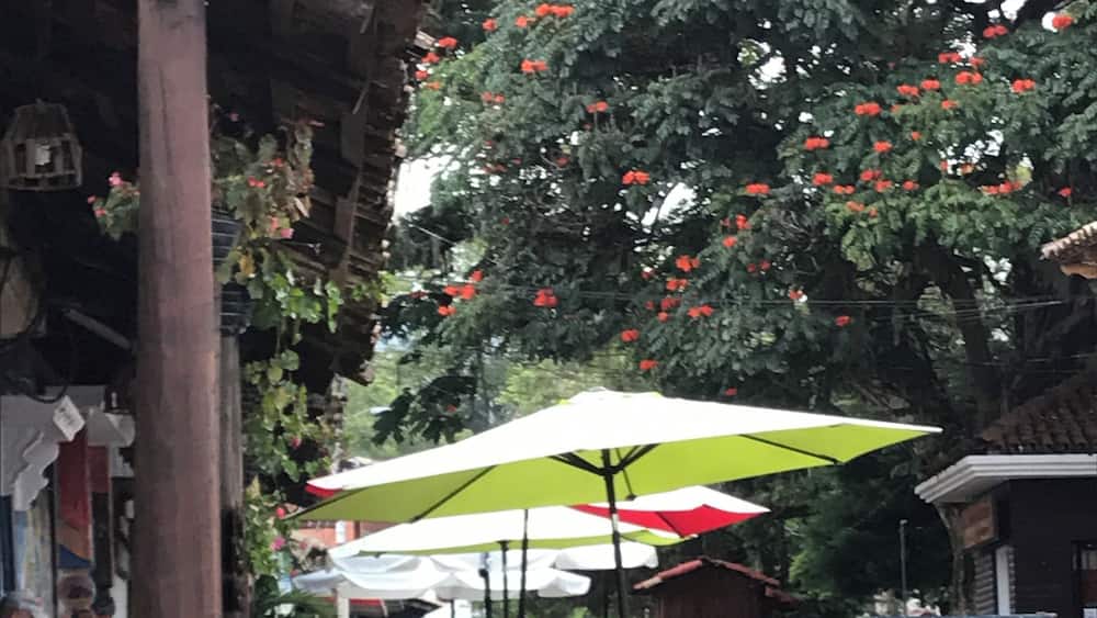 Amazing outdoor Square with vendors and street food