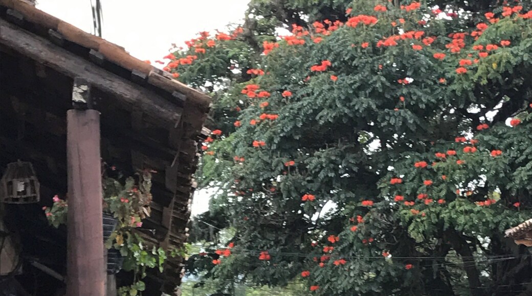 Amazing outdoor Square with vendors and street food