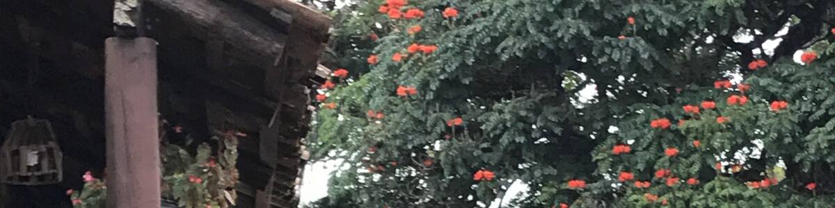 Amazing outdoor Square with vendors and street food