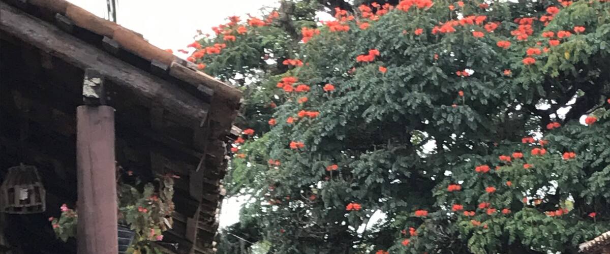Amazing outdoor Square with vendors and street food