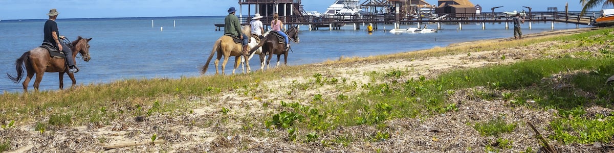 A beach with people riding horses, a pier, and a boat in the background.
