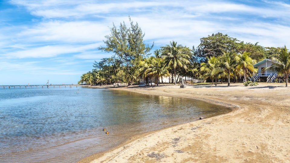 A beach with palm trees, a pier, and a small house.
