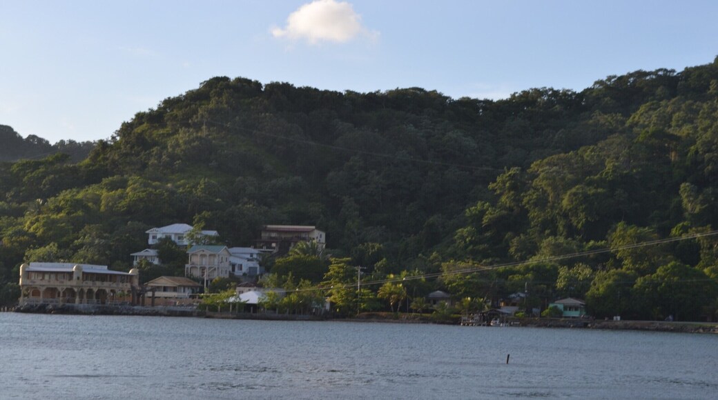 Roatan Bay Honduras is one of my new favorite islands in the caribbean. It is gorgeous!