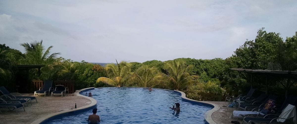 A swimming pool surrounded by palm trees and lounge chairs.