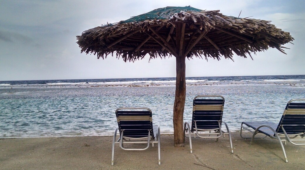 From beach at Club Natale