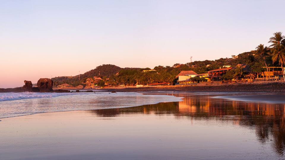 A beach with calm waves, palm trees, and buildings along the shore.