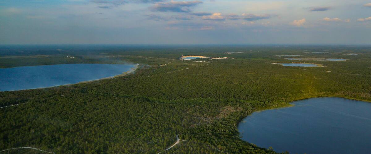 A vast forested landscape with multiple lakes and a clear sky.