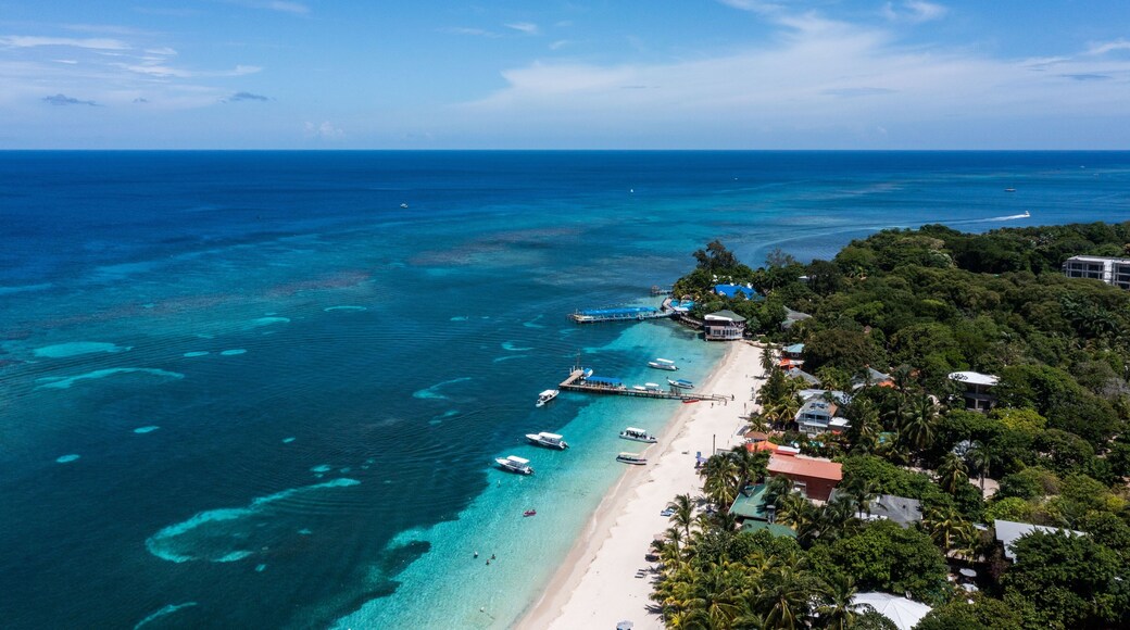 Aerial view of a coastal beach with crystal blue waters and white sand shoreline in Roatan Honduras