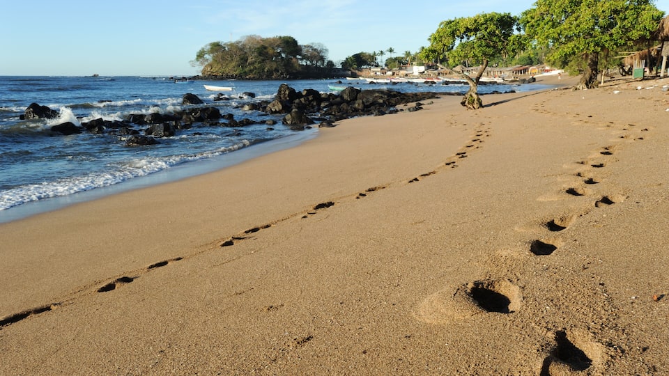 A sandy beach with footprints leading to the water, a rocky shoreline, and trees in the background.
