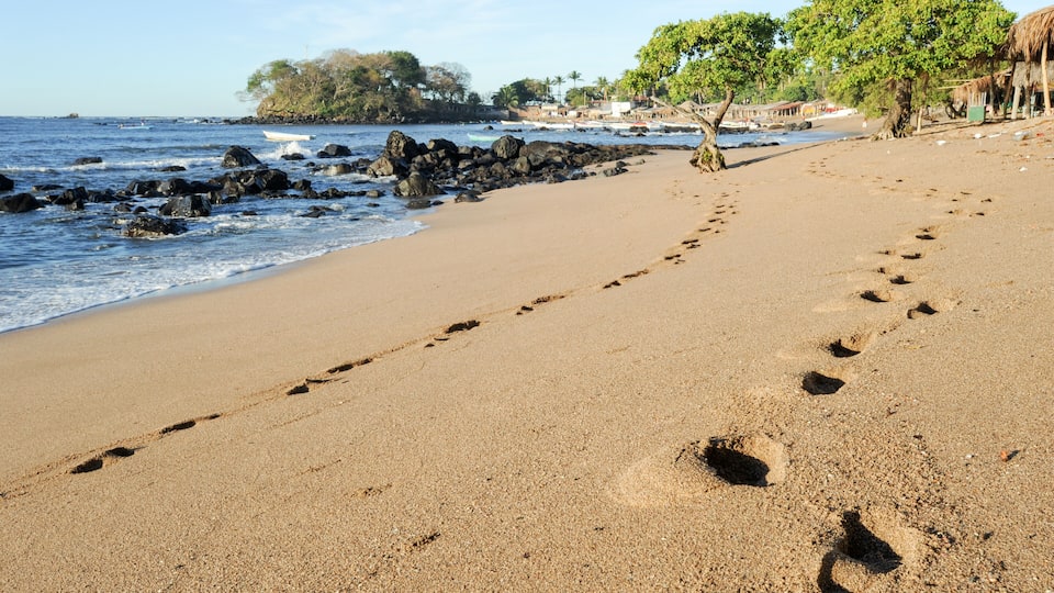 A sandy beach with footprints leading to the water, rocky outcrops, and trees.