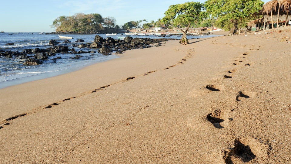 A sandy beach with footprints leading to the water, a boat, and a thatched-roof hut.