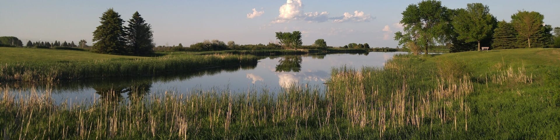 Nice, little park to go walking